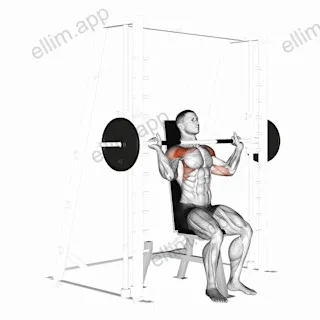 Smith Shoulder Press exercise targeting Shoulders and Deltoid Anterior