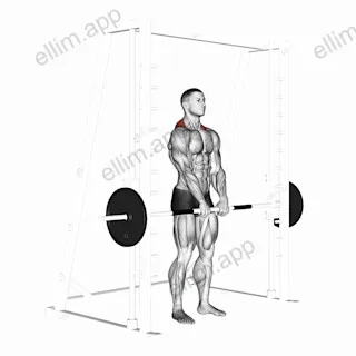 Smith Shrug exercise targeting Back and Trapezius Upper Fibers