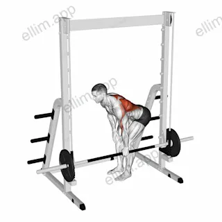 Smith Single Arm Bent Over Row exercise targeting Back
