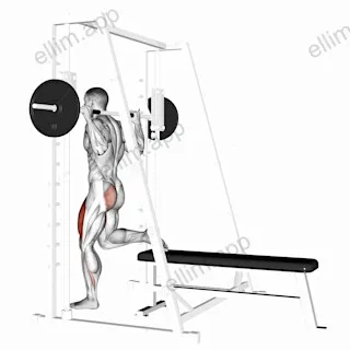 Smith Single Leg Split Squat exercise targeting Thighs and Gluteus Maximus