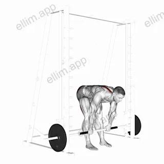Smith Stiff Legged Deadlift exercise targeting Hips