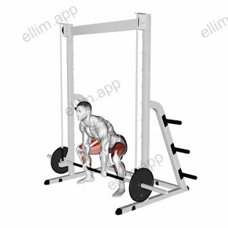Smith Sumo Deadlift exercise targeting Hips