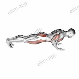 Spider Crawl Push up exercise targeting Hips and Gluteus Medius
