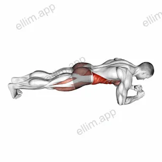 Spider Plank exercise targeting Hips