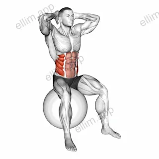 Spinal Stretch (on stability ball) exercise targeting Waist and Erector Spinae