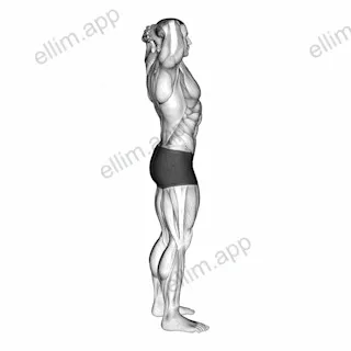 Spine Backbend Stretch exercise targeting Hips and Erector Spinae