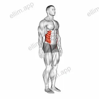 Spine (Lumbar) - Lateral Flexion exercise targeting Hips