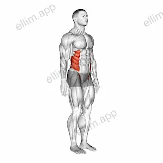 Spine (Lumbar) - Rotation exercise targeting Hips