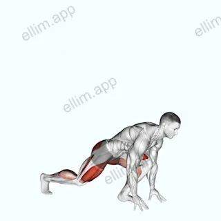 Split Sprinter High Lunge exercise targeting Gluteus Maximus and Quadriceps
