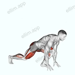 Split Sprinter Low Lunge exercise targeting Gluteus Maximus and Quadriceps