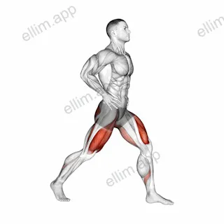 Split Squats exercise targeting Gluteus Maximus and Quadriceps
