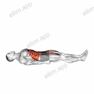 Sprinter Crunch exercise targeting Waist