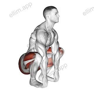 Squat mobility Complex exercise targeting Thighs and Gluteus Maximus