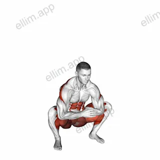 Squat Mobility Twist exercise targeting Waist