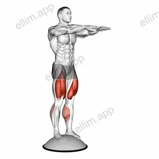 Squat On Bosu Ball exercise targeting Thighs and Gluteus Maximus