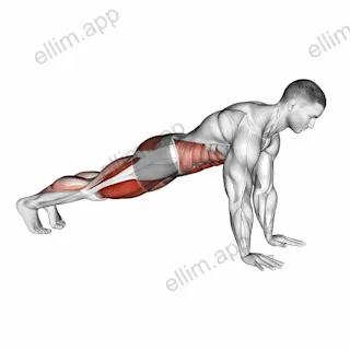 Squat Thrust exercise targeting Plyometrics