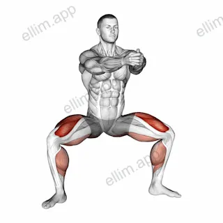 Squat Tip Toe exercise targeting Thighs and Gluteus Maximus