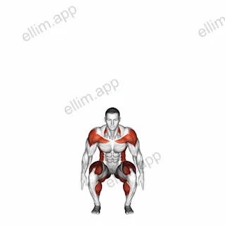 Squat to Overhead Reach with Twist exercise targeting Plyometrics