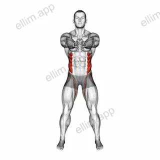 Standing Ab Twist exercise targeting Waist and Obliques