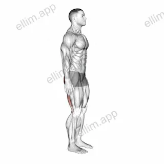 Standing Back Extension And Flexion exercise targeting Hips