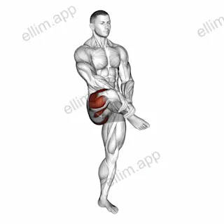 Standing Balance Outer Hip Stretch exercise targeting Hips and Thighs
