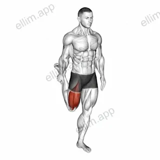 Standing Balance Quadriceps Stretch exercise targeting Thighs and Quadriceps