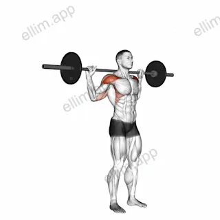 Standing Behind Neck Press exercise targeting Shoulders and Deltoid Anterior