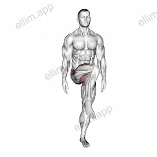 Standing Bent Knee Figure 8 exercise targeting Hips and Adductor Brevis