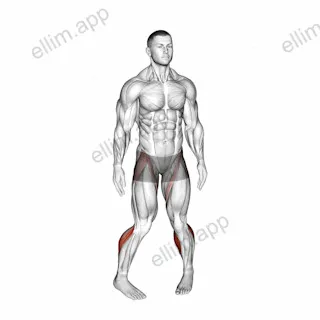 Standing Calf Raise Circle exercise targeting Calves
