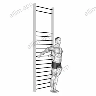 Standing Chest Stretch (with Training Wall Bars) exercise targeting Chest