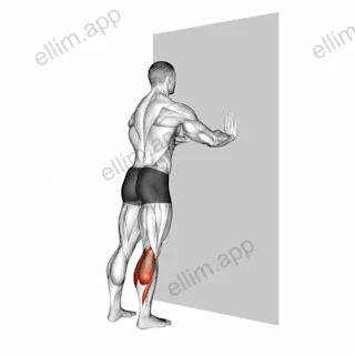 Standing Gastrocnemius exercise targeting Calves and Gastrocnemius
