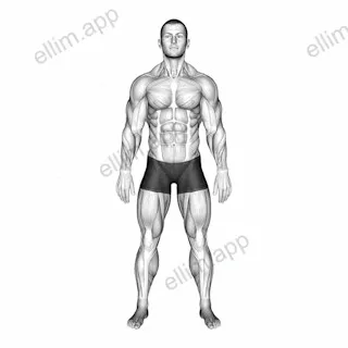 Standing Hands Position (Pronation Supination Neutral) exercise targeting Forearms