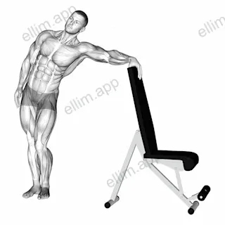 Standing Hip Out Aductor Stretch exercise targeting Hips