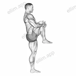 Standing Knee To Chest Stretch exercise targeting Hips