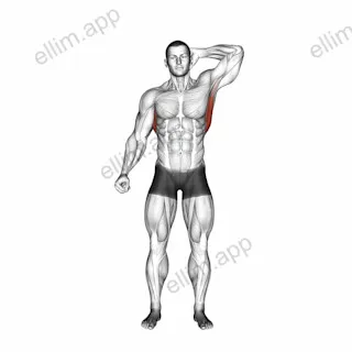 Standing Lateral Stretch exercise targeting Back and Latissimus Dorsi