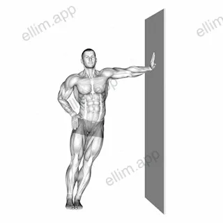 Standing Lower Trunk Lateral Flexor Stretch exercise targeting Back