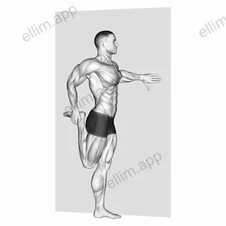 Standing Quadriceps Stretch exercise targeting Thighs and Quadriceps