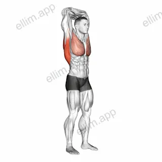 Standing reach up back rotation stretch exercise targeting Back and Latissimus Dorsi