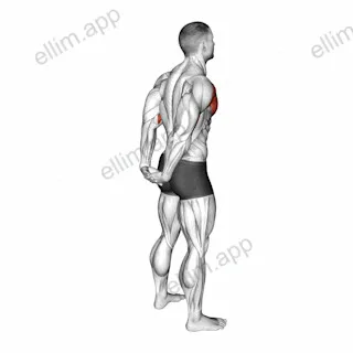 Standing Reverse Shoulder Stretch exercise targeting Shoulders