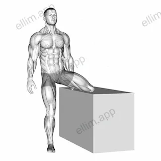 Standing Rotational Hip Stretch exercise targeting Hips