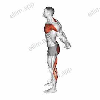 Standing Seal Yoga Pose exercise targeting Stretching