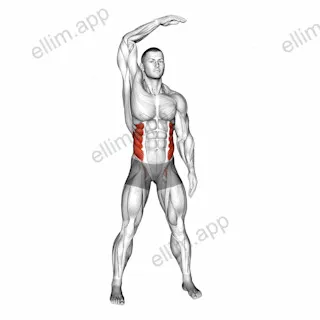 Standing Side Bend (bent arm) exercise targeting Waist and Obliques