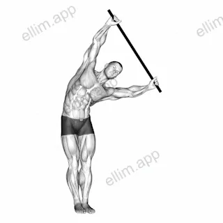 Standing Side Stretch With Stick exercise targeting 