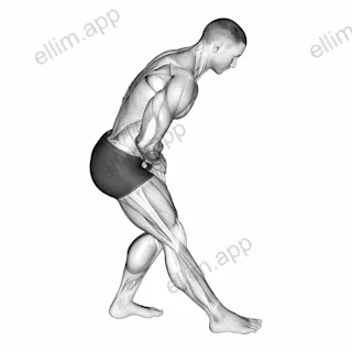 Standing Toe Down Hamstring Stretch exercise targeting Thighs