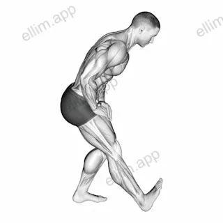 Standing Toe Up Hamstring Stretch exercise targeting Thighs