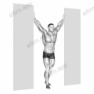 Standing Upright Shoulders Stretch exercise targeting Shoulders