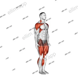 Star Jump exercise targeting Cardio