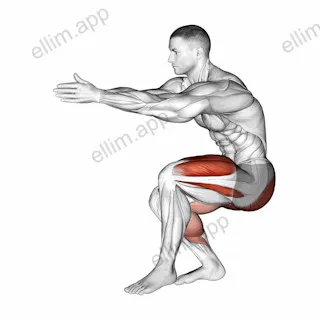Static Lunge Kick exercise targeting Thighs and Gluteus Maximus