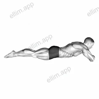 Static Position Lying Front exercise targeting 