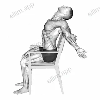 Static Position Seated Back exercise targeting 